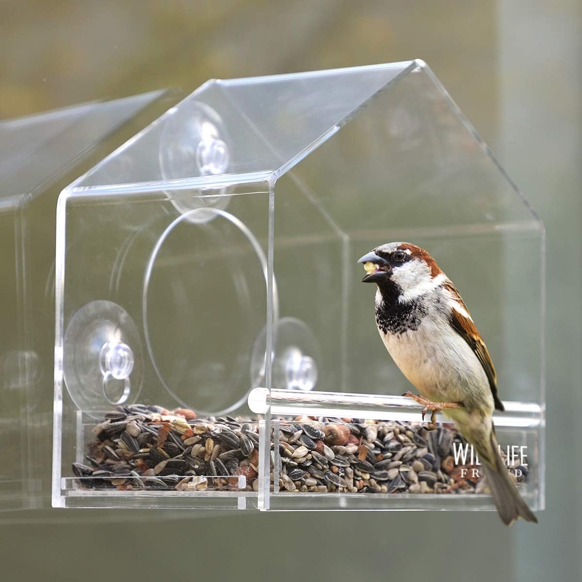 Flexi Mangeoire à fenêtre pour oiseaux sauvages, transparente