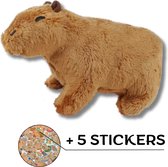 Capybara Knuffel - Capybara - 30 CM- Cadeau - Capibara Knuffel + 5 Capybara Sticker