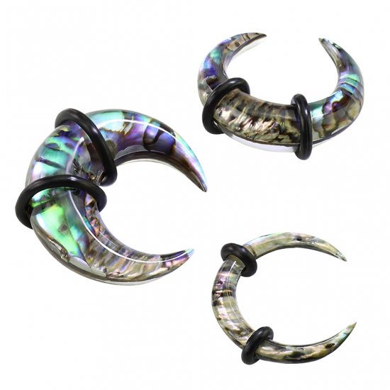 6 mm taper Organic Abalone Bull