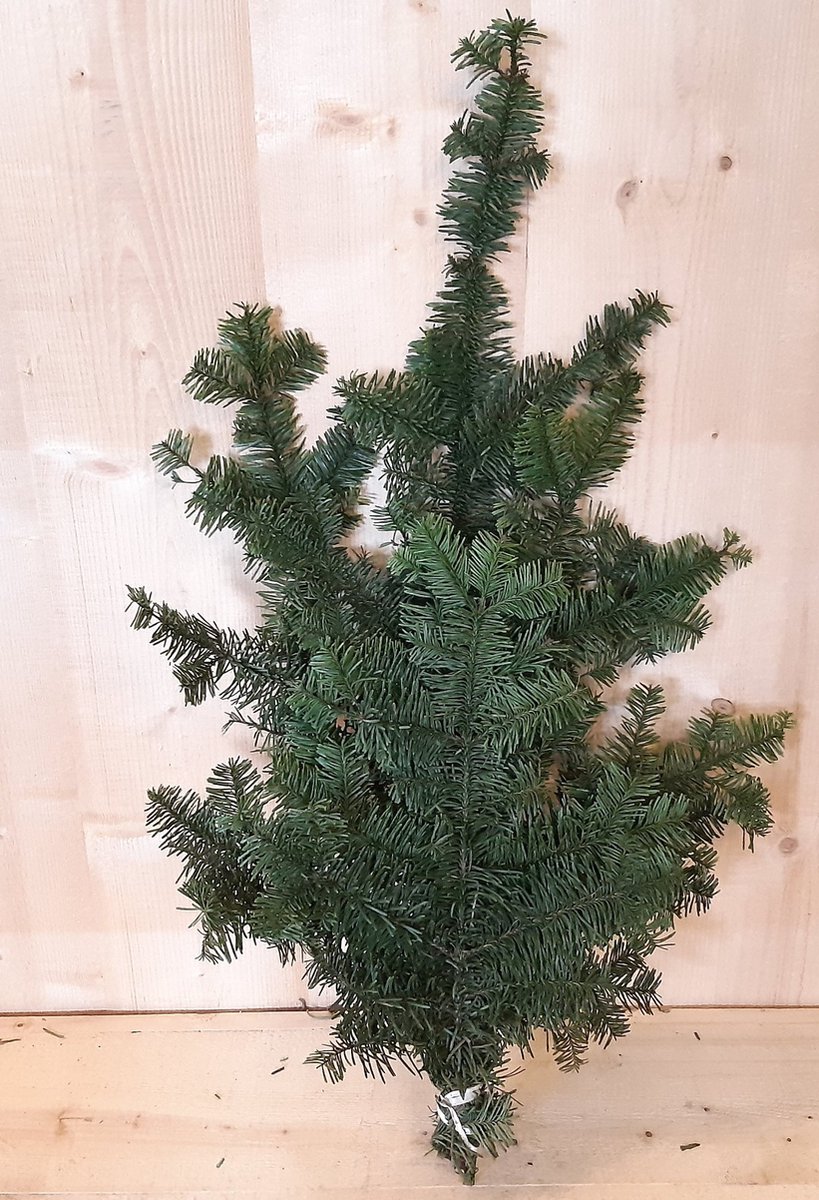 4 stuks Kerstgroen Nobilis groen
