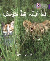 Collins Big Cat Arabic Lev 8 Tame Cat