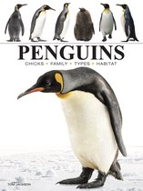 Mini Animals- Penguins