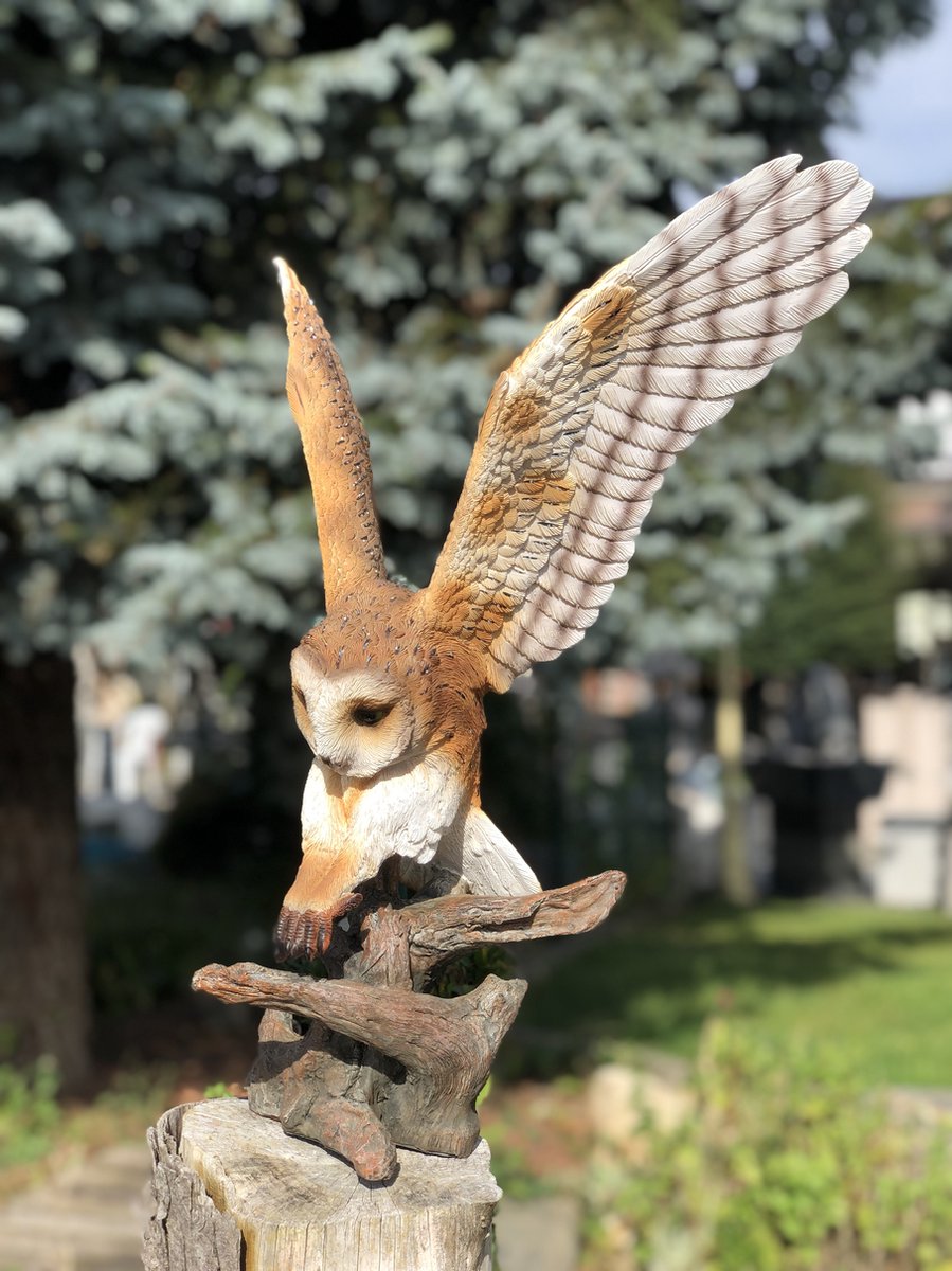 Velduil vliegend 52 cm hoog - polyester - polyresin - polystone - hoogkwalitatieve kunststof - decoratiefiguur - interieur - accessoire - voor binnen - cadeau - geschenk - tuinfiguur - tuinbeeldje - tuindecoratie