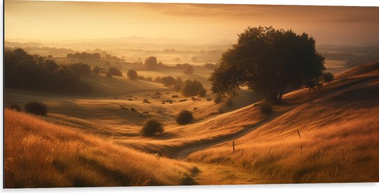 Dibond - Landschap - Gras - Bomen - 100x50 cm Foto op Aluminium (Met Ophangsysteem)