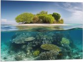 Vlag - Koraal - Oceaan - Zee - Eiland - 100x75 cm Foto op Polyester Vlag