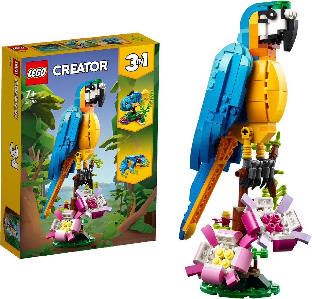 LEGO 31136 Creator 3-en-1 Le Perroquet Exotique, Jouet de Construction,  Figurines Animaux de la Jungle, avec Grenouille et Poisson, Jeu Créatif  Enfants Dès 7 Ans : : Jeux et Jouets
