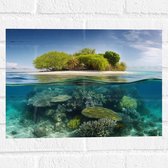 Muursticker - Koraal - Oceaan - Zee - Eiland - 40x30 cm Foto op Muursticker