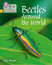 Big Cat Phonics for Little Wandle Letters and Sounds Revised- Beetles Around the World