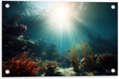 Tuinposter – Zee - Onderwater - Zon - Vissen - Koraal - 60x40 cm Foto op Tuinposter (wanddecoratie voor buiten en binnen)