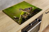 Protection induction - Canard avec garçon - 75x52 cm - Protection induction - Housse plaque induction - Tapis induction - Antidérapant - Décoration Cuisine - Accessoires de vêtements pour bébé Cuisine