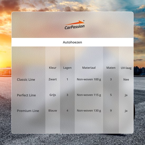 CarPassion Housse de Voiture - Housse de Protection - Imperméable et Résistante au Gel - Taille XL - Grijs