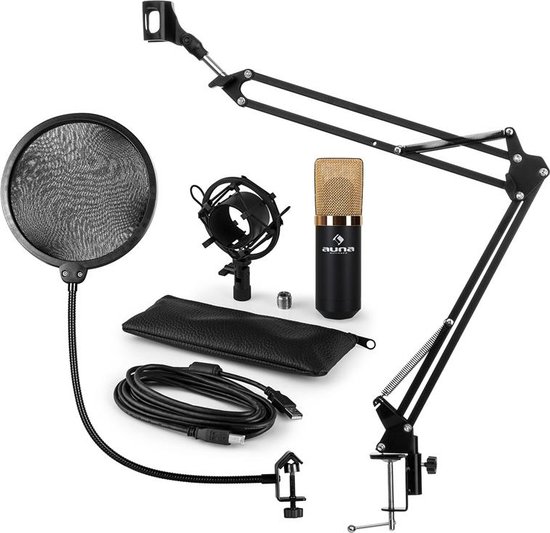 MIC-900BG Ensemble de microphones USB V4 Microphone à condensateur Pop Protection Boom Arm - Or