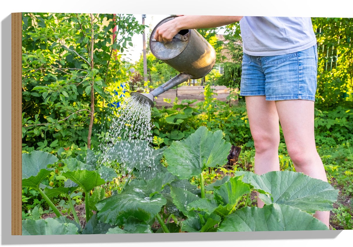 Hout - Tuin - Bloemen - Planten - Gieter - Water - Groen - 60x40 cm - 9 mm dik - Foto op H