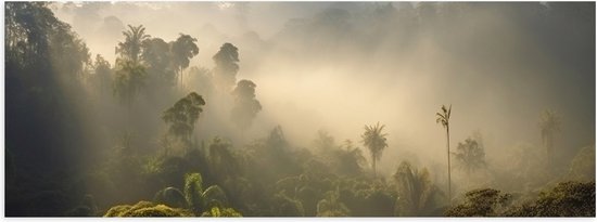 Poster Glanzend – Ochtend - Bos - Mistig - Bomen - 120x40 cm Foto op Posterpapier met Glanzende Afwerking