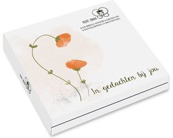 Kaartenmapje Petit Paris - Klaproos