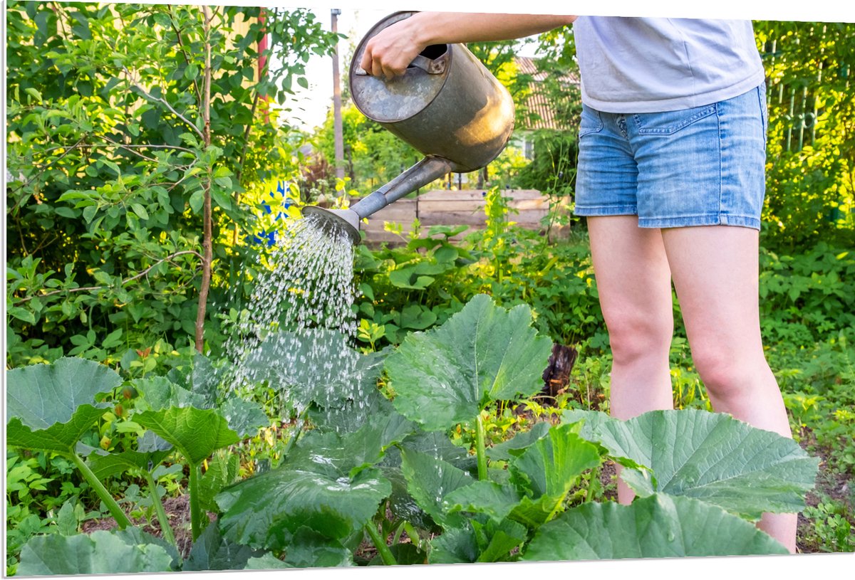 PVC Schuimplaat- Tuin - Bloemen - Planten - Gieter - Water - Groen - 120x80 cm Foto op PVC