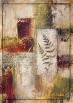 Kunstdruk Jane Bellows - Botanical Abstract 50x70cm