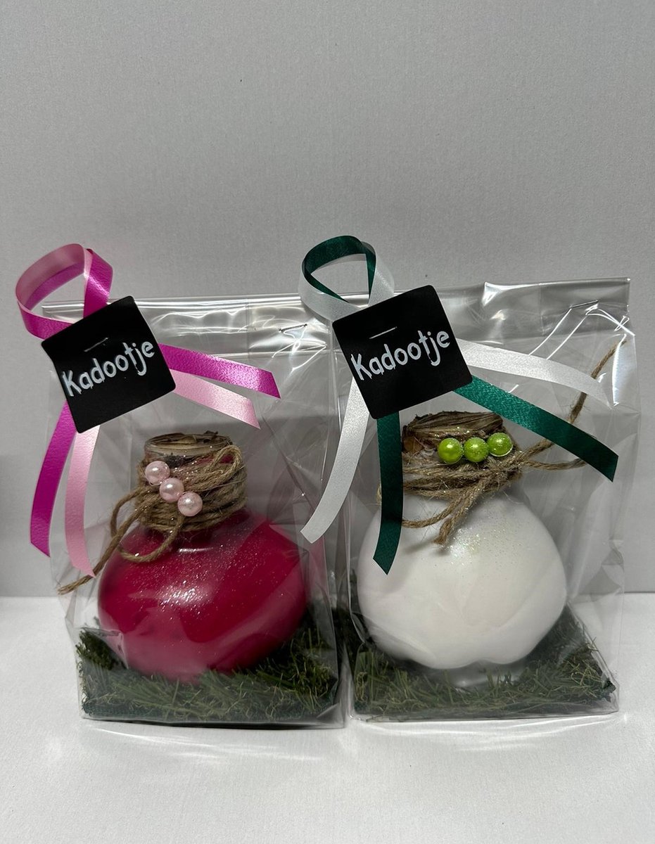 Wax Amaryllis Duo Roze en Wit in leuke geschenkverpakking - relatiegeschenk