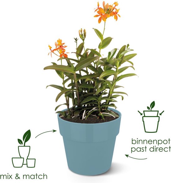 Pot de fleurs bleu Elho avec plante à fleurs oranges, avec icônes pour 'mix & match' et 'pot intérieur facile à insérer'.