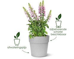 Elho Vibia Straight Rond 40 - Grote Bloempot voor Buiten - 100% Gerecycled Plastic - Ø 39.0 x H 36.8 cm - Antraciet