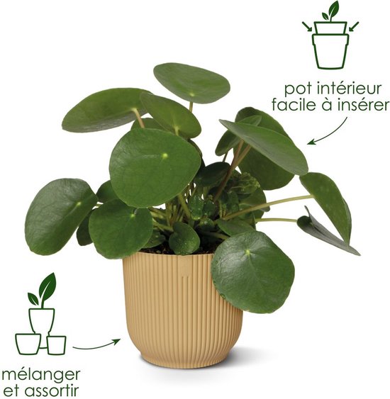 Lichtgele Elho bloempot met verticale ribbels, met een Pilea plant. Tekst: 'mélanger et assortir' en 'pot intérieur facile à insérer'.