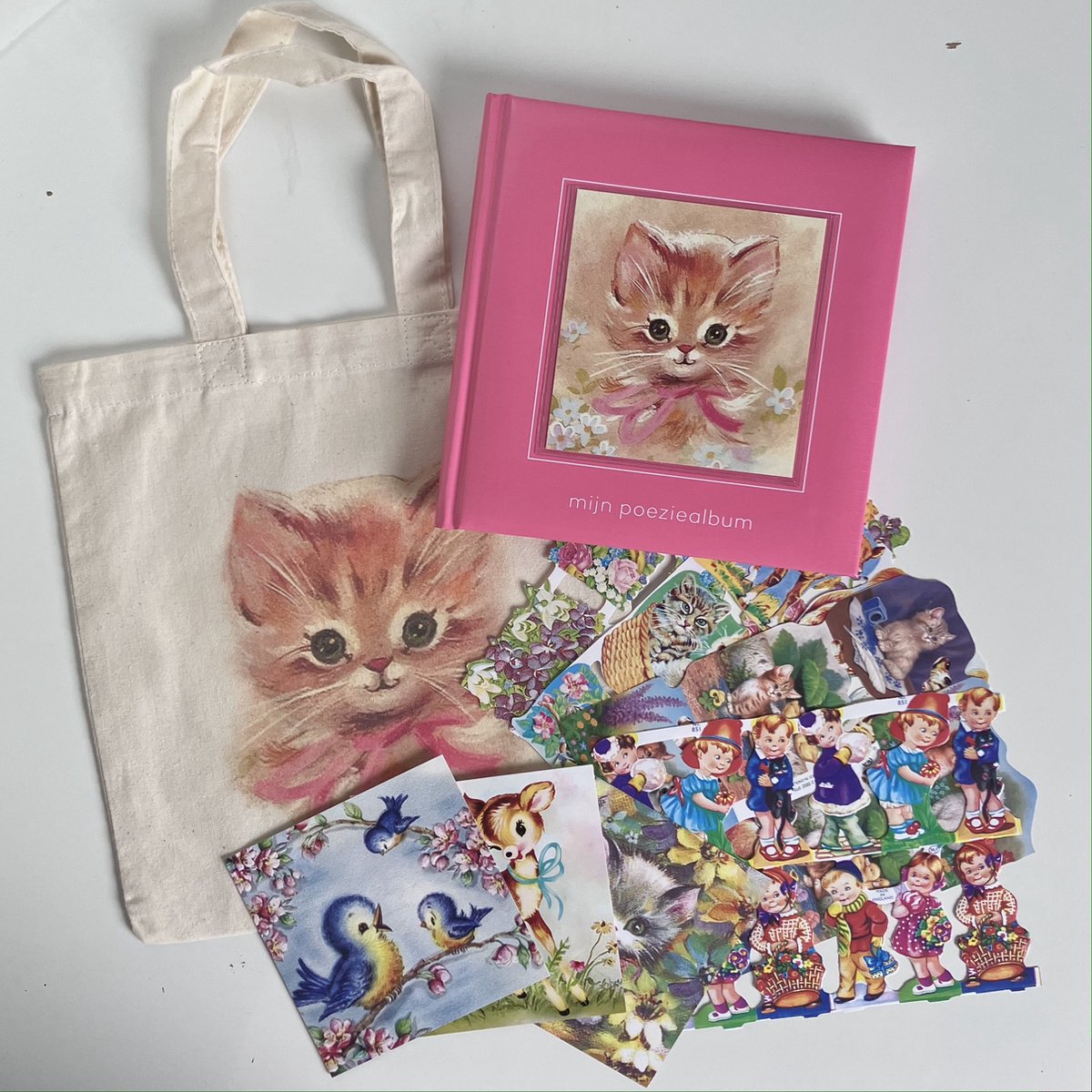 Poeziealbum cadeauset poesje (roze)