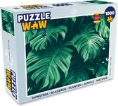 Puzzel Monstera - Bladeren - Planten - Jungle - Natuur - Legpuzzel - Puzzel 1000 stukjes volwassenen