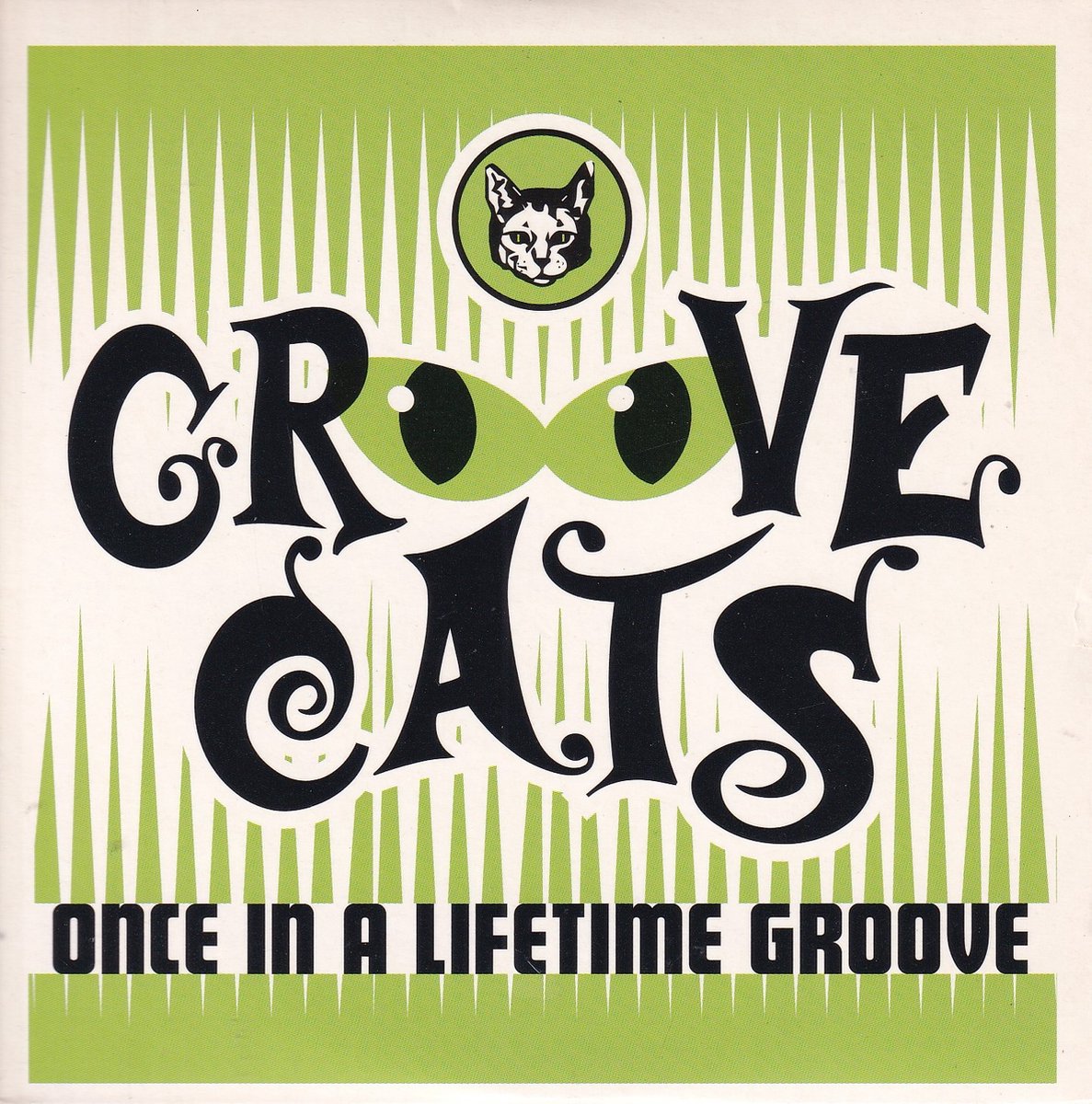 Once in a Lifetime Groove