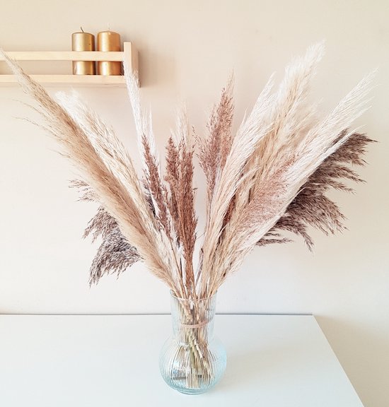 Droogbloemen kopen? Dé 7 mooiste droogbloemen voor je interieur