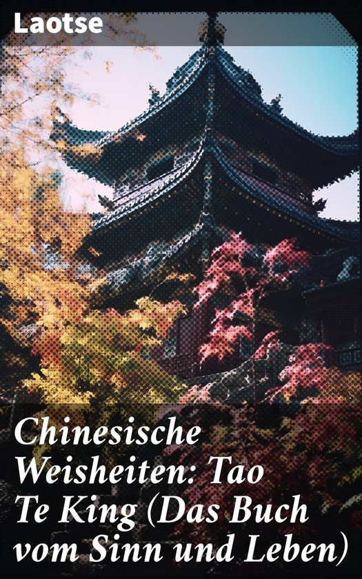 Chinesische Weisheiten Tao Te King (Das Buch vom Sinn und Leben