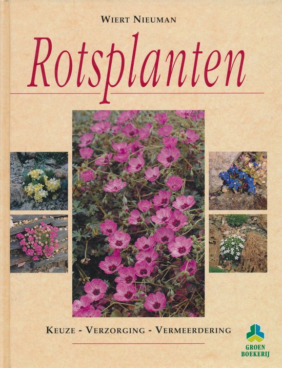Rotsplanten keuze, verzorging, vermeerdering