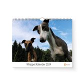 XL 2024 Kalender - Jaarkalender - Whippet