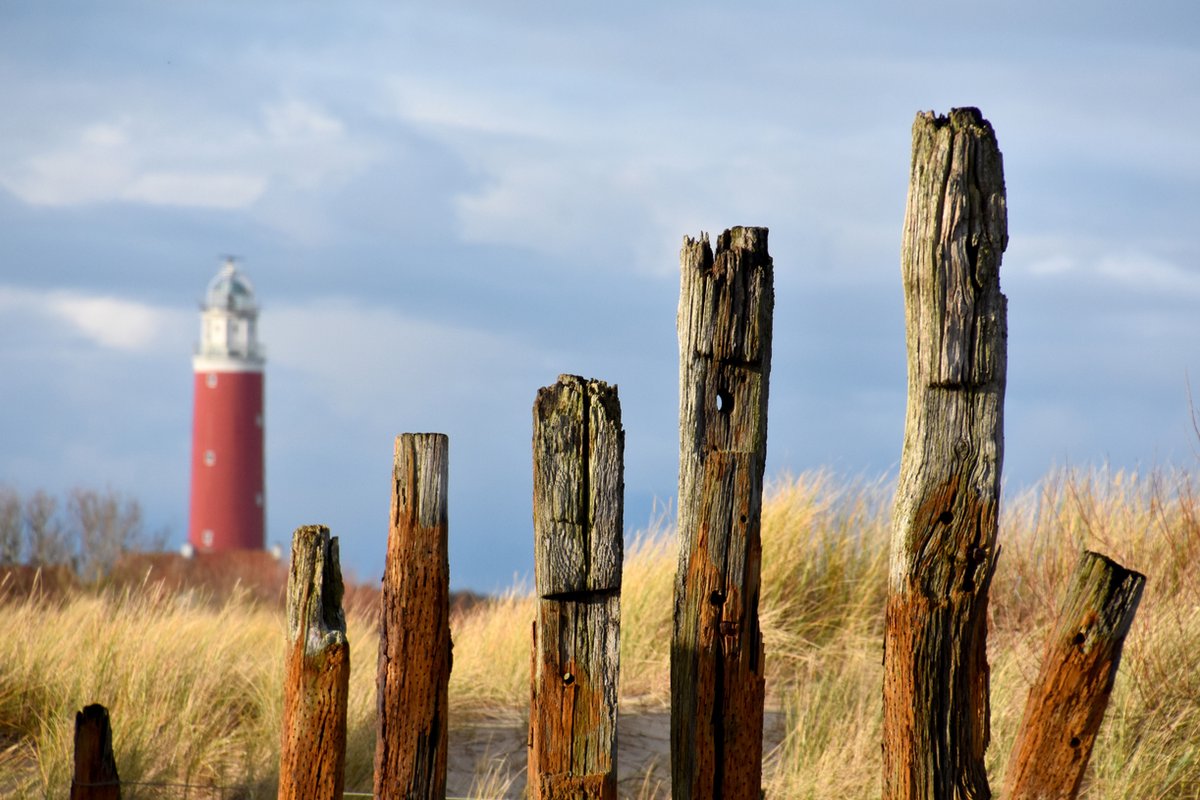 Texelphotos.nl Foto afdruk op canvas - Texel Vuurtoren - Duin - Strand - Zee - Canvas doek – Wanddecoratie - Canvas schilderij – Natuur - Landschap - 45 x 30 cm. Vuurtoren Texel