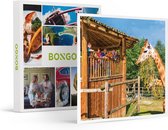 Bongo Bon - DAGJE BELLEWAERDE VOOR 2 VOLWASSENEN EN 1 KIND - Cadeaukaart cadeau voor man of vrouw