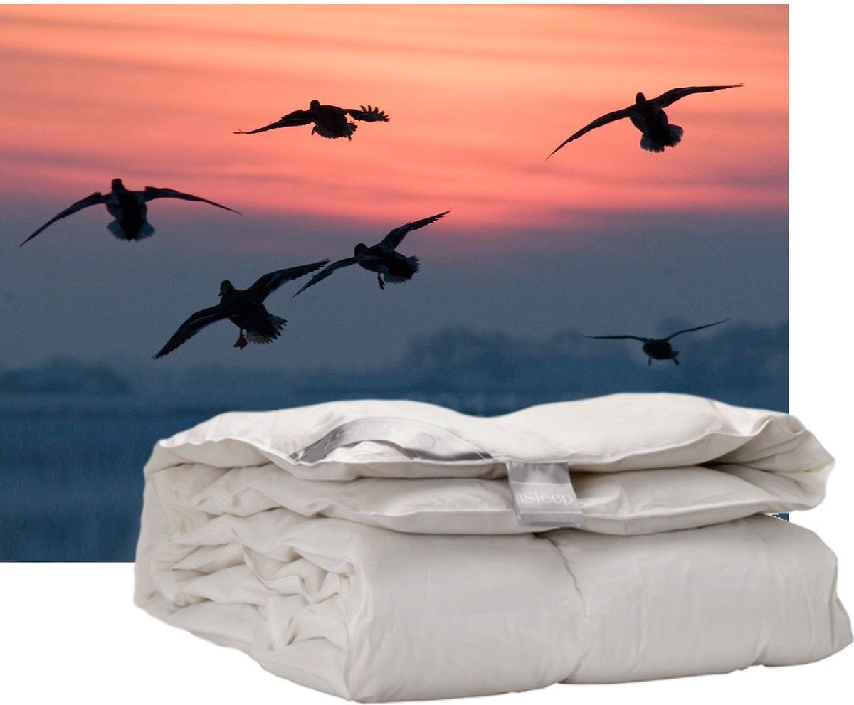 iSleep Donzen Enkel Dekbed - 60% Dons - Eendendons en Eendenveren - Eenpersoons - 140x220 cm Wit