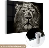 Glasschilderij leeuw - Dieren - Portret - Zwart - Schilderij glas - Glas met foto - Woonkamer - Slaapkamer decoratie - 90x60 cm - Wanddecoratie glas - Glasplaat - Glazen decoratie