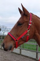 Halster Bucas Dublin Crimson - Pony