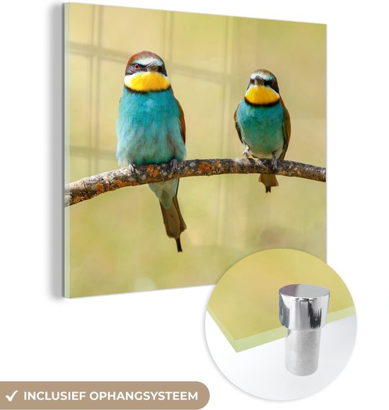 MuchoWow® Glasschilderij 20x20 cm - Schilderij acrylglas - Vogels - Dieren - Bijeneter - Foto op glas - Schilderijen