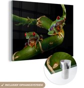 MuchoWow® Peinture sur verre 160x120 cm - Peinture sur verre acrylique - Grenouille - Branche - Reptile - Photo sur verre - Peintures