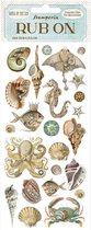Stamperia - Chants de la mer Rub-On 4x8,5 pouces Coquillages et poissons (DFLRB52)