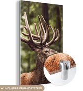 MuchoWow® Peinture sur verre - Cerf - Nature - Bois - Forêt - Animaux - 20x30 cm - Peintures sur verre acrylique - Photo sur Glas
