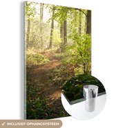 MuchoWow® Glasschilderij 30x40 cm - Schilderij acrylglas - Bos - Bomen - Pad - Zon - Planten - Bladeren - Natuur - Foto op glas - Schilderijen