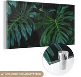 MuchoWow® Glasschilderij 80x40 cm - Schilderij acrylglas - Monstera - Bladeren - Tropisch - Jungle - Foto op glas - Schilderijen