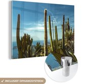 MuchoWow® Glasschilderij - Cactus - Zee - Lucht - 150x100 cm - Acrylglas Schilderijen - Foto op Glas