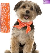 Finnacle - Honden bandana -Stijlvolle hond - Tegen kou en hete zon in de nek - Oranje