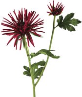 Viv! Home Luxuries Chrysant spinnekop - kunstbloem - rood - 60cm