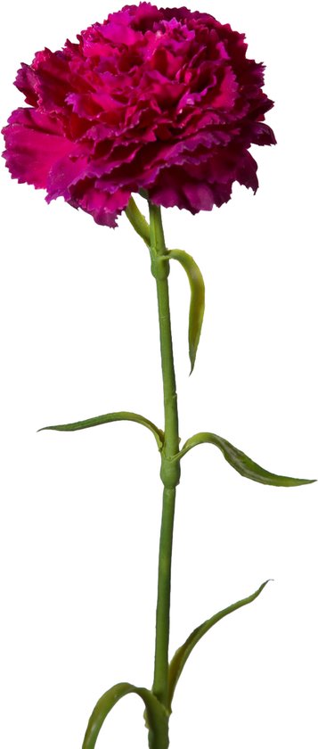 Viv! Home Luxuries Anjer - zijden bloem - paars fuchsia - 53cm