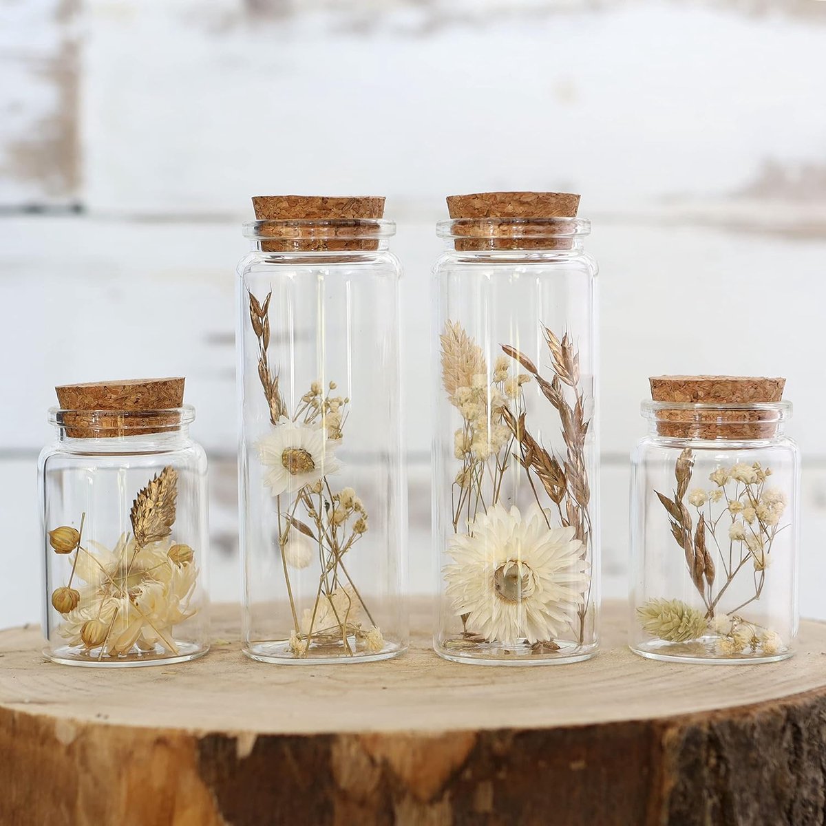 Gedroogde bloemen in glas met kurken set van 4 gedroogde bloemdecoratie in elegante smalle glazen (natuurlijk)