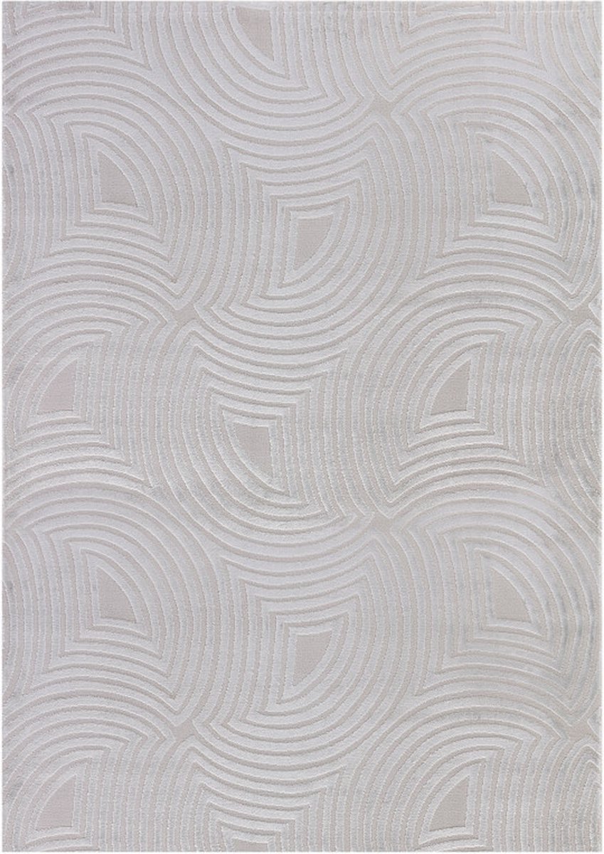 flycarpets Cara Modern Japandi Duna Vloerkleed - Zilver - 200x290 cm Grijs