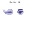 Faith Healer - Try ;-) (CD)